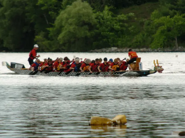 Sailing course summer holidays in 2024 offer complimentary tickets