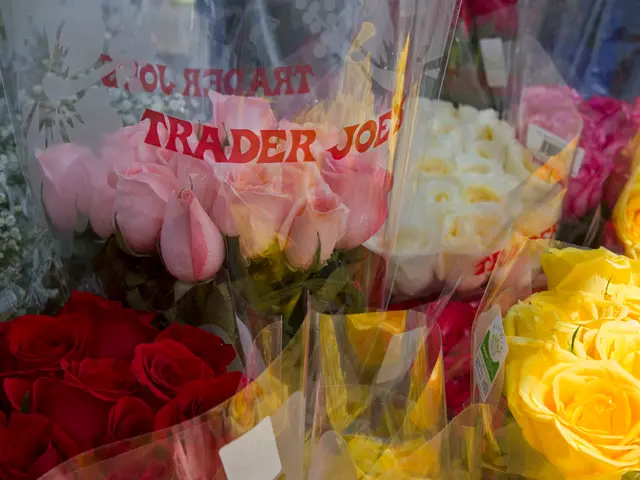 Global Floral Upheaval: Star Roses' Dominance in the Realm of Colored Roses Worldwide