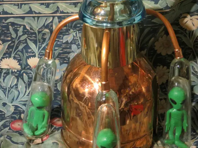 Luxurious Inky Green Hue from Benjamin Moore Offers an Exquisite and Surprising Color Palette