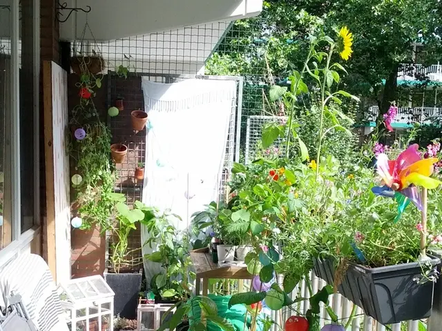 Rediscovering Harmony: A Home Transformation Adventure