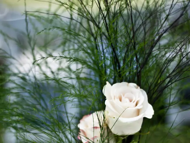 Flower bouquets in Kuban now cost an average of four thousand rubles each.