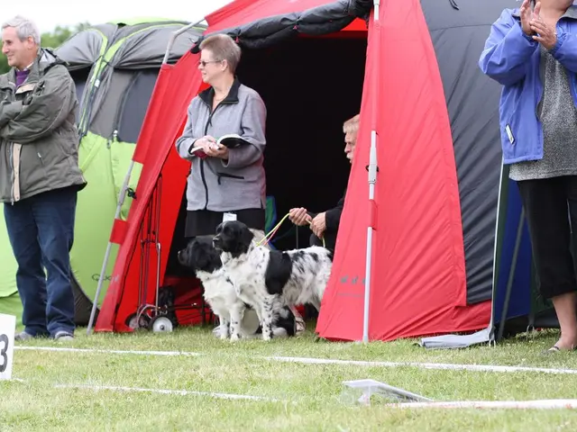 Preparing for a Canine Camping Excursion: Ponder Three Crucial Questions Prior to Departure