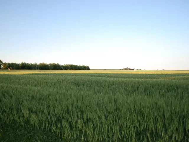 XYZ Reserve Event Held at Bracken Field Lab, Yorkshire