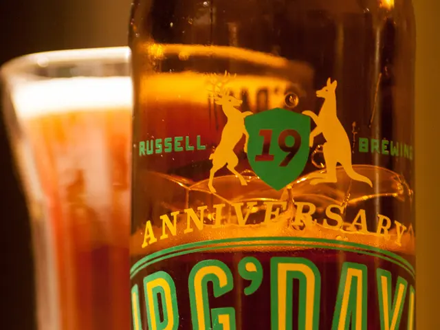 Essential vs Non-essential Wine Gear: A Guide to Wise Purchases