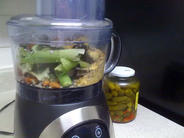 Variations and pros cons of various blenders for the kitchen