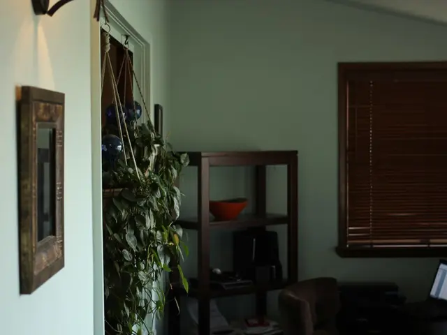 Transformed Drainpipe Transforms From Ey sore to Garden Focal Point with Clever Use of Trellis...