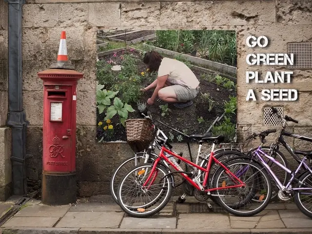 Strategies for Safe Cycling in Urban Environments