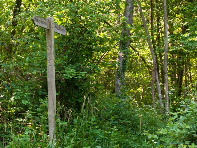 Great word choices for a word game! Here are five five-letter words that start with "RA," perfect...