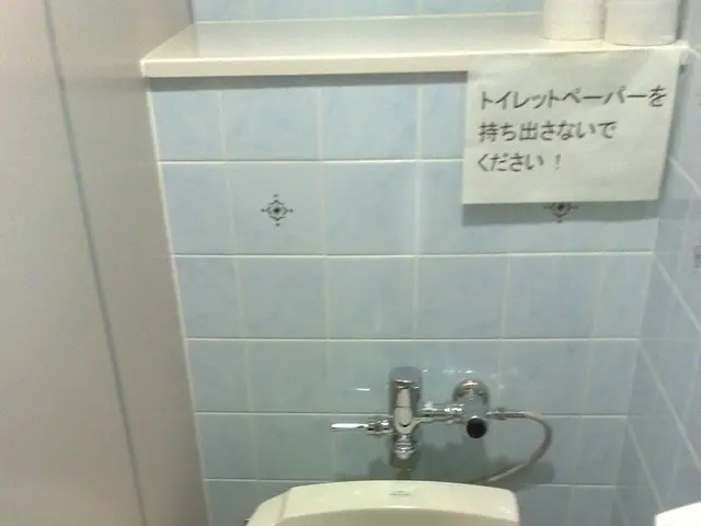 Quick techniques to clear a clogged toilet sans plunger, saving you from expensive plumber calls -...