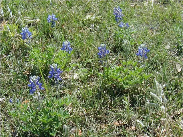 Top-notch Applications Elevating Horticulture to New Heights