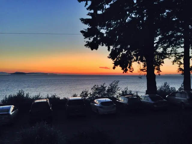 Enhancing Diversity in Flora and Fauna for Climate Resilience via Permaculture Practices