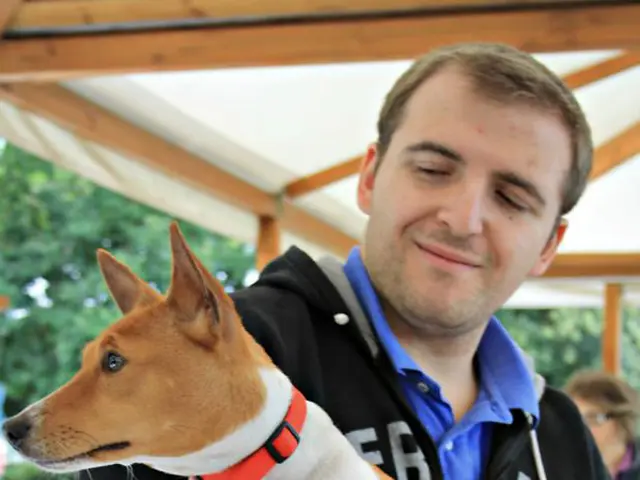 Unveiling the Advantages of Canine Training: 32 Reasons Why Training Your Dog Is Beneficial