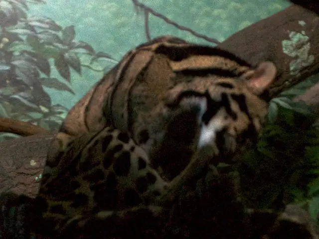 Enchanted forest for young patients found at Düsseldorf hospital.