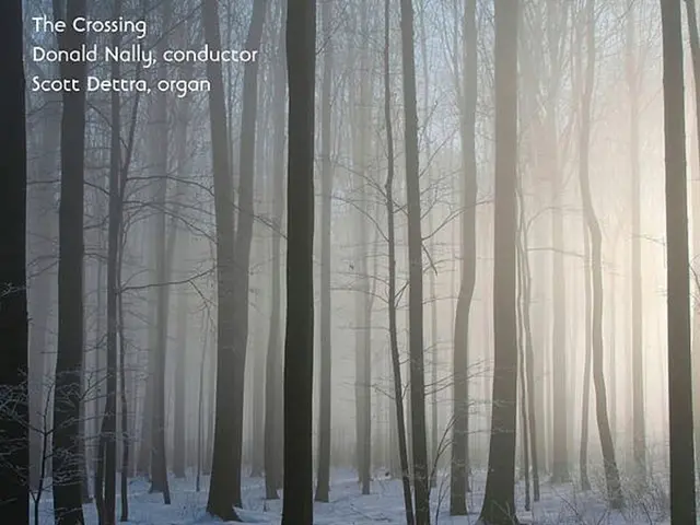 Navigating Your Escape from the Wilderness