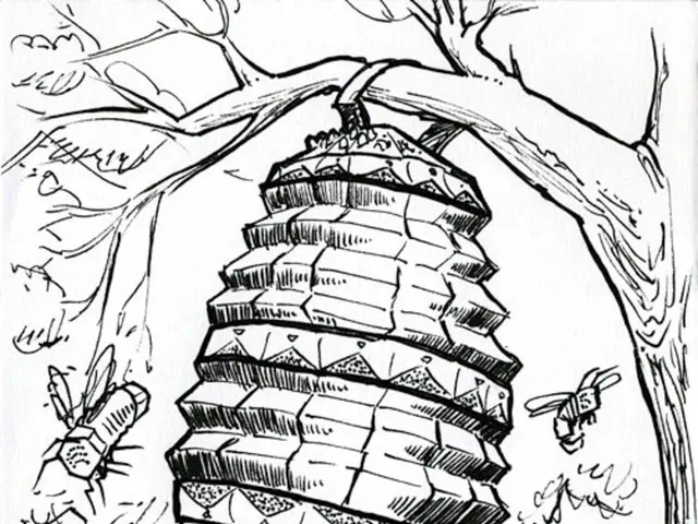 Methods for Enhanced Avocado Cultivation via Pollination