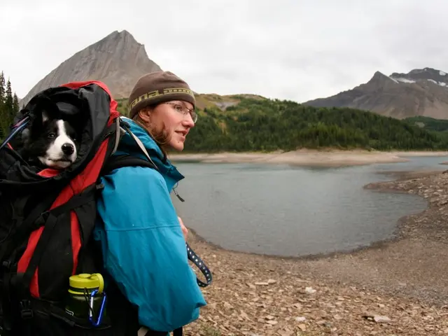 Exploring Trails with Your Canine Companion: An Insider Offers Essential Guidelines