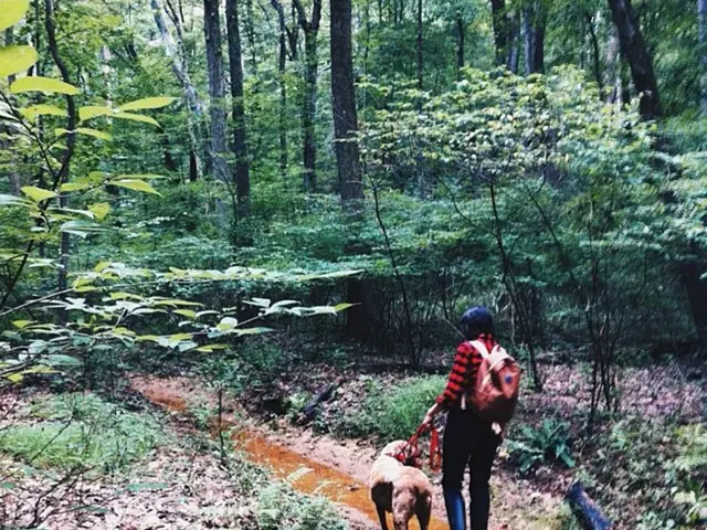 Joan Ford Wallick, an individual identified in the text.