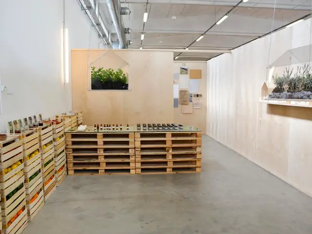 What Light is Optimal for the Coral in Your Aquarium?