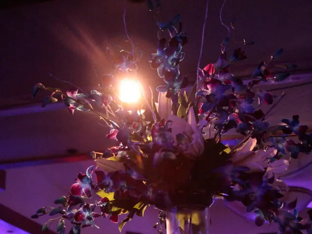 Transform Your Bleak Bathroom into a Tropical Haven: Top 8 Low-Light Bathroom Plants for Shady...