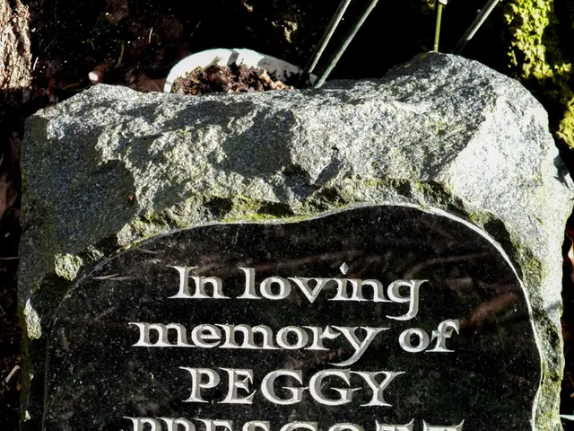 Stonework mastery through understanding adhesive properties in natural stone