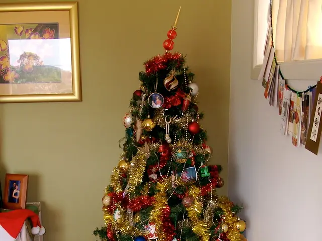 Regulation Implementation Acts to be Established, Detailing How This Legislation will be Executed.