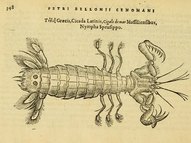 "Unleash color on Pikmin characters through printable pages, exclusively offered by Play Nintendo!"