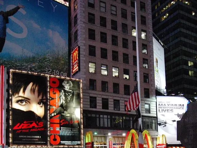 European Court Delays Case Proceedings on the Subject Matter in Question