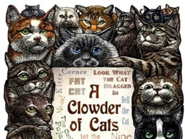 Insights on Various Pet Insurance Policies