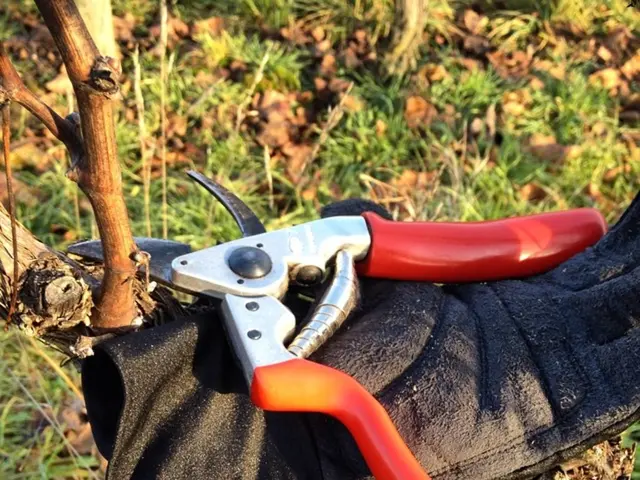 Frequency of lawn mowing during summer months