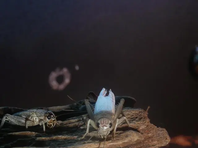 Recognizing Prevalent Arboreal Parasites and Ailments: Strategies for Safeguarding Your Trees