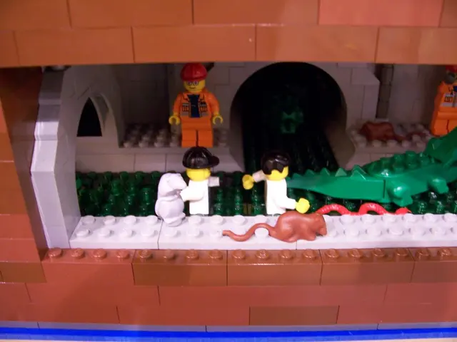 Achieving a well-mannered and content dog can be simpler than you imagine, according to a trainer's...