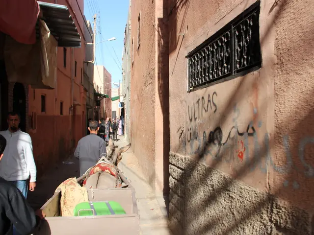 Israel Imposes Regulations Hindering Aid Delivery to Gaza by NGOs