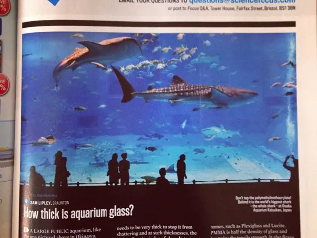 Statement of Georgia's Objectives