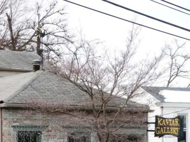 Home modifications that reduce energy consumption while enhancing aesthetic appeal, often present...