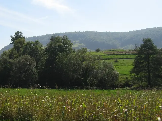 Organic Garden Design Concepts: Craft a Yard that Exudes Timeless Beauty and Authenticity