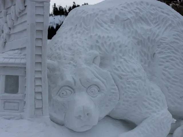 Winter Art Endeavor Led by Frida Kahlo