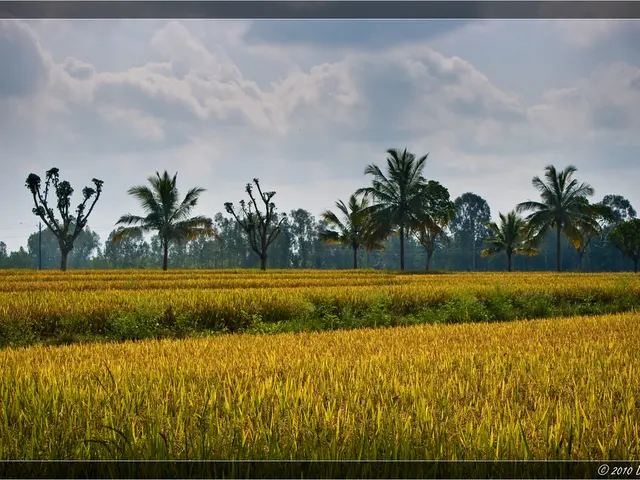 Top Fall Produce Suited to Your Territory