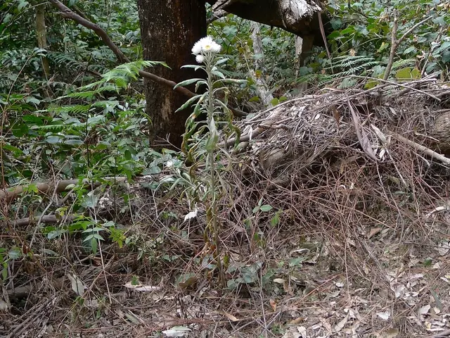 Inquiry Regarding the Matter at Hand