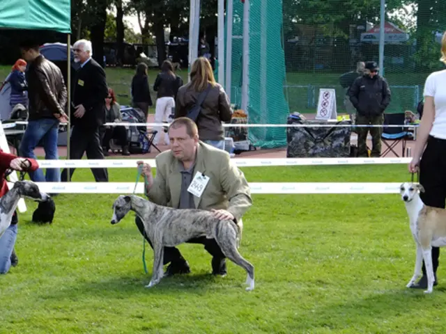 Recruitment Event for Volunteers - Lackford Lakes Wetlands