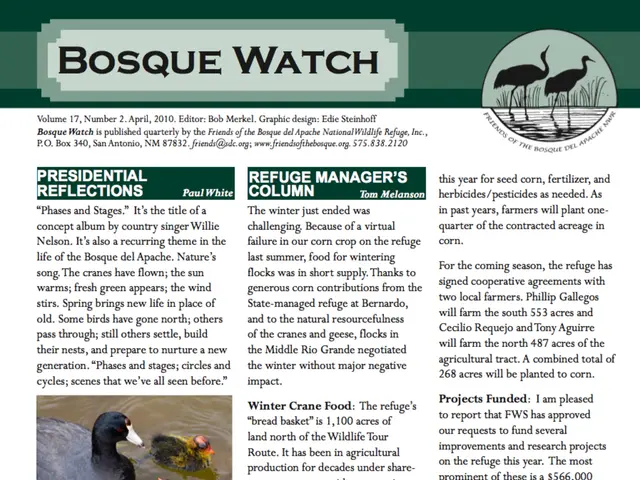 Bath Do decora with Yellow Duck motif