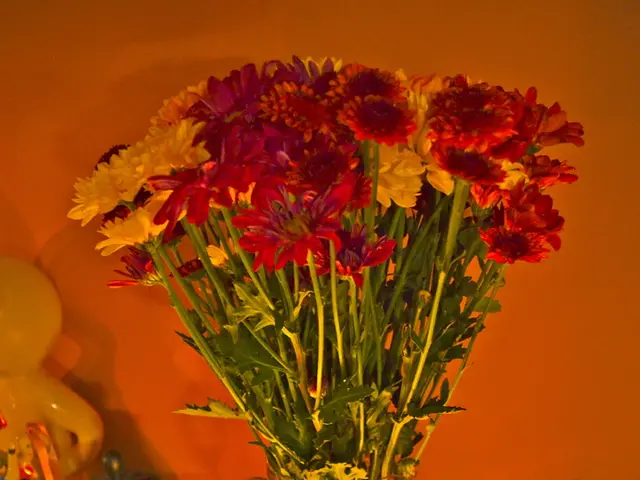 Creating a Hydrangea Centrepiece: Effortlessly Stylish and Uncomplicated