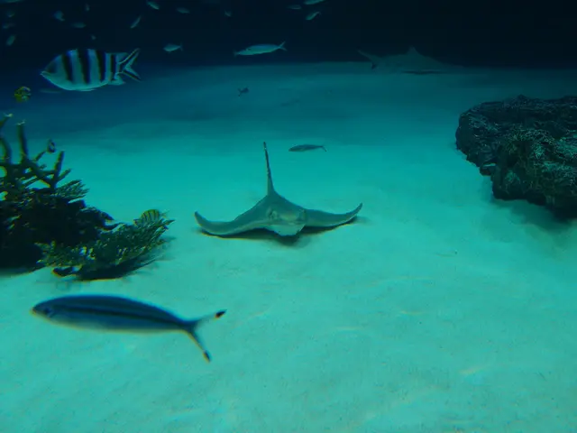 Mastering Underwater Camera Techniques for Stunning Shots