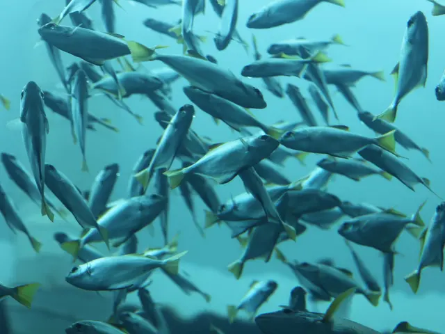 Optimal Dietary Options for Giant River Monitors (Arowanas)