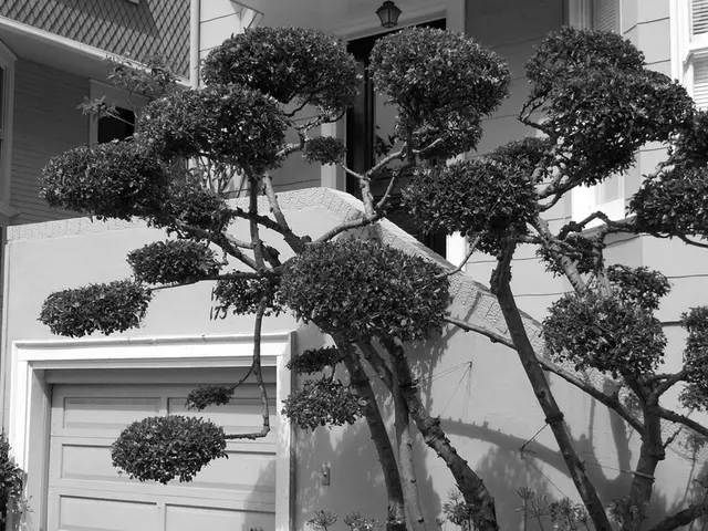 Anticipated timeline for elderly residents to occupy the new housing development in Nordhausen.