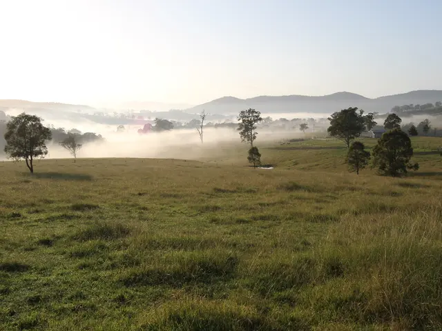 Landscaping Material Comparison: Geotextiles and Fabrics