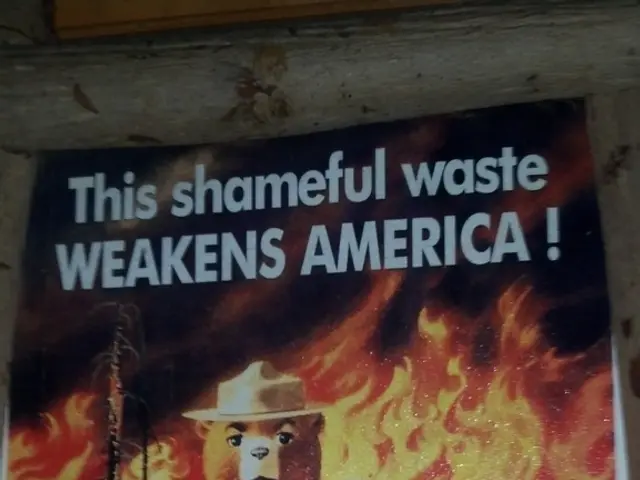 DIY Popsicle Stick Snowflake Decorations