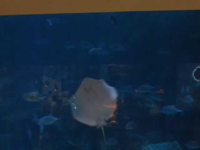 Opting for the Ideal Salt Blend: A Guide on Selecting the Perfect Salt Combination