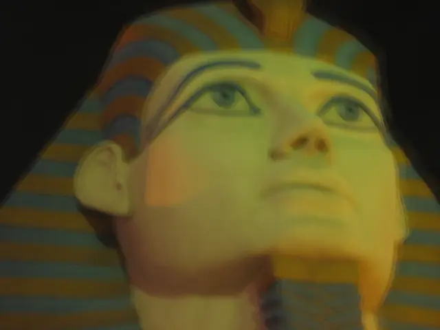 Dolphins Auctioned Off for Thousands, Showcased in Gallery