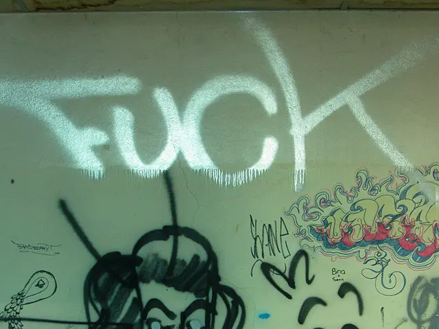 Vinyl Matt Paint: Its Characteristics and Presence in the Trade Section