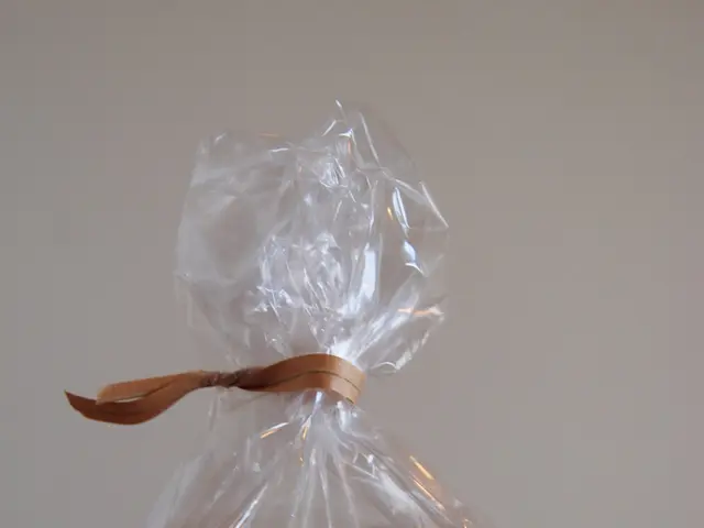 In this image we can see a plastic bag. There are few labels on the plastic bag. There is some food...